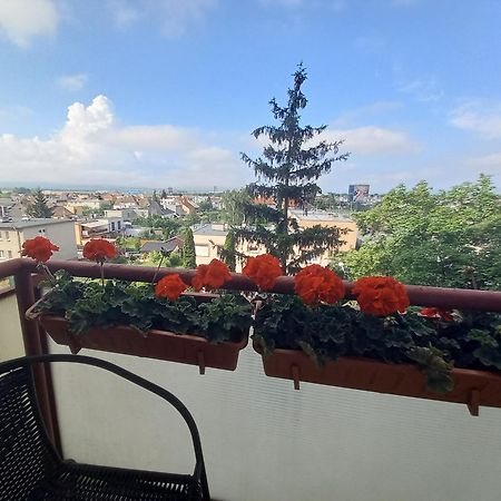 Apartman Lienka Free Parking City Centre Trenčín Εξωτερικό φωτογραφία